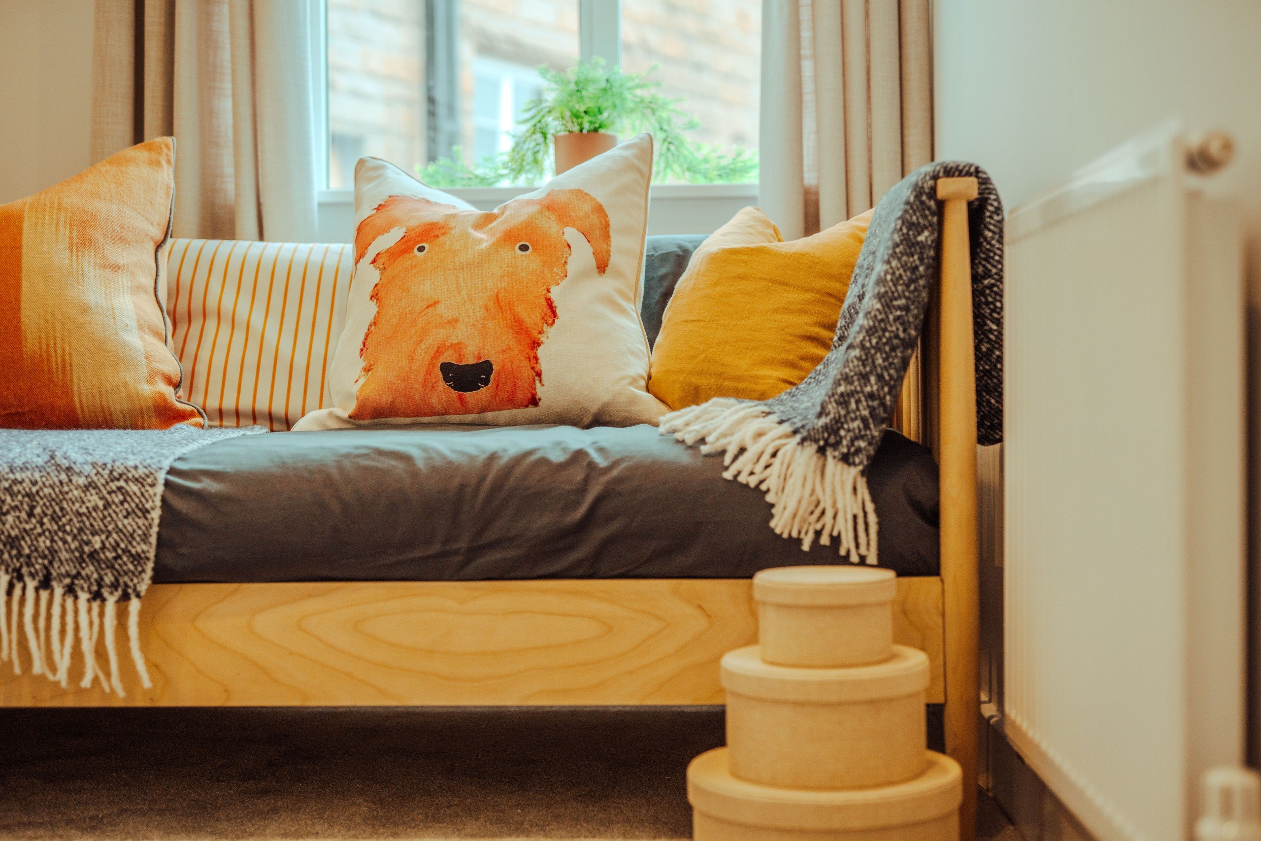 Cozy sofa with colorful cushions, including a dog face print. A gray blanket drapes over the side. Potted plant by a window. Warm, inviting vibe.