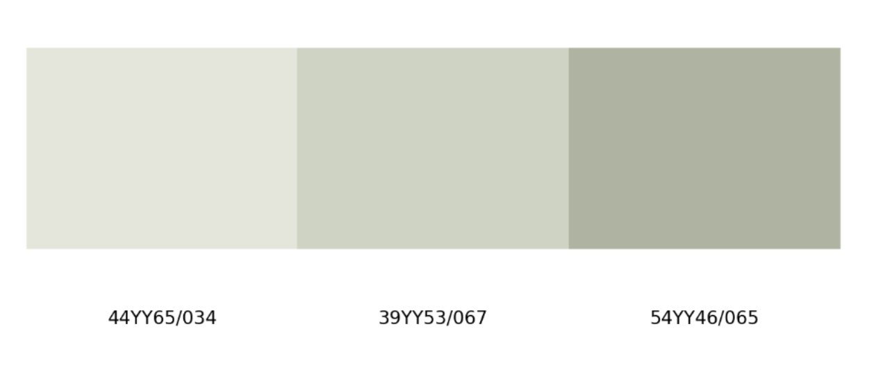 Silver Sage colours
